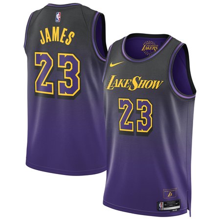 Unisex Los Angeles Lakers LeBron James Purple 2024/25 Swingman Player Jersey - City Edition